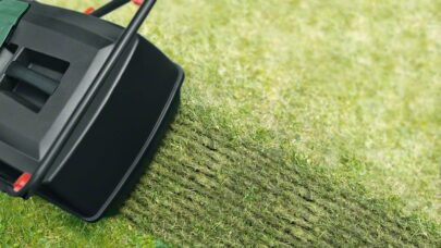 Vertikulator UniversalVerticut 1100 - 2