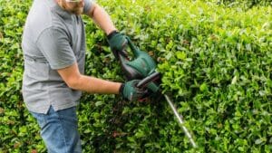BOSCH UniversalHedgeCut 60 Makaze za živu ogradu 06008C0703 - 3