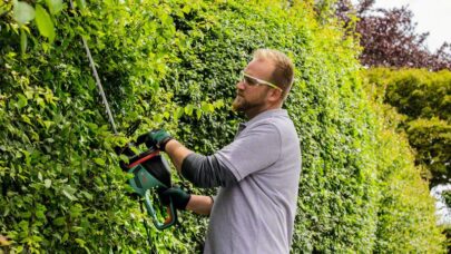 Makaze za živu ogradu AdvancedHedgeCut 65 - 2