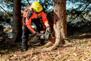 METABO MS 36-18 LTX BL 40 Aku.testera bez baterija i punjača 601613850 - 10