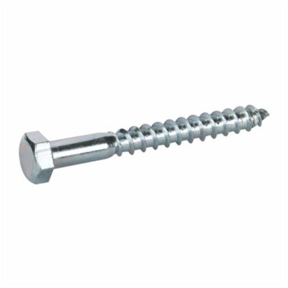 T-FIX DIN 571 Salonit vijak - 1