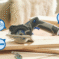 DREMEL® Blueprint akumulatorska kružna testera CS12V-S1 - 3