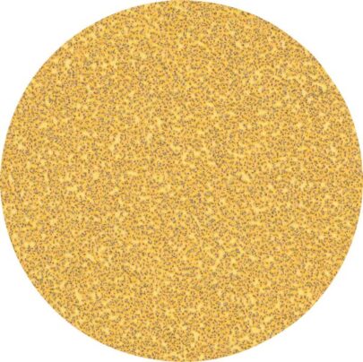 EXPERT C470 brusni papir bez rupa za ugaone brusilice i bušilice od 125 mm, G 40, 50 delova - 1