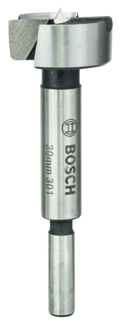 BOSCH Forstner Burgije za drvo 2609255289 - 1