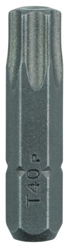 Bit odvrtača Standard T - 1