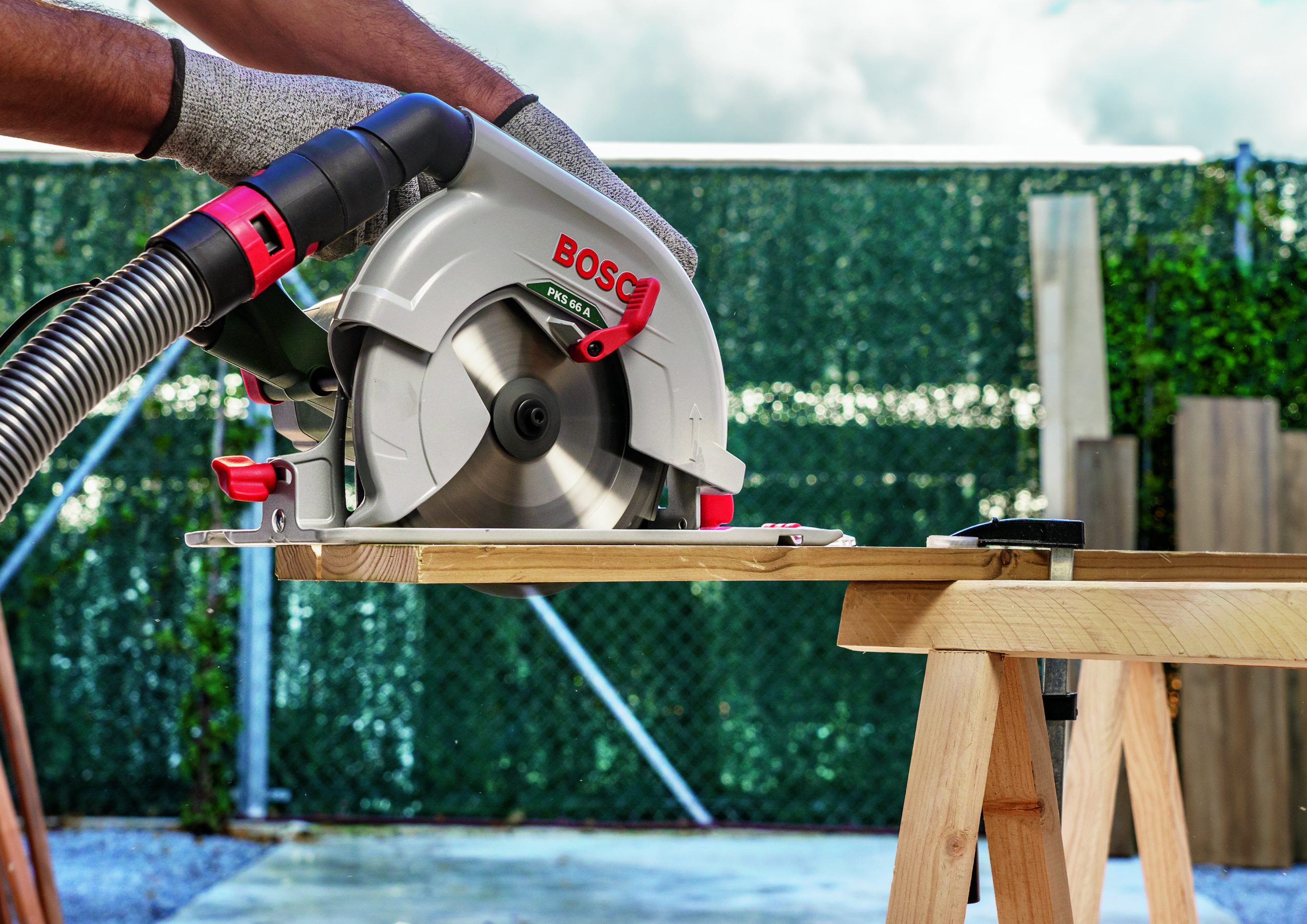BOSCH List kružne testere Precision 2609256D81 - 4