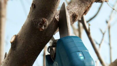 Akumulatorske makaze za baštu Pro Pruner Professional - 2