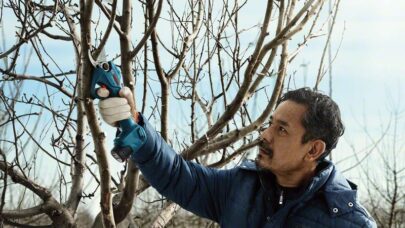 Akumulatorske makaze za baštu Pro Pruner Professional - 11