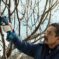 Akumulatorske makaze za baštu Pro Pruner Professional - 11