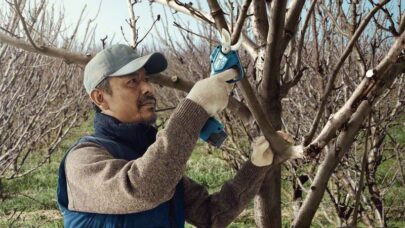 Akumulatorske makaze za baštu Pro Pruner Professional - 4