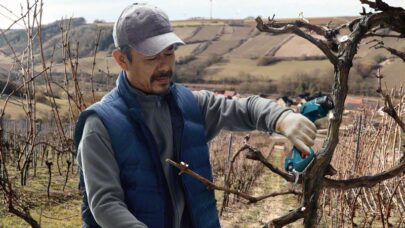 Akumulatorske makaze za baštu Pro Pruner Professional - 8