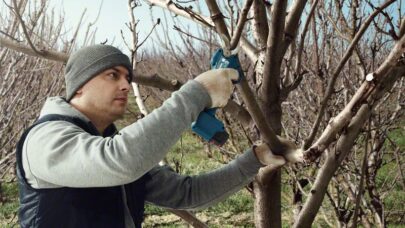 Akumulatorske makaze za baštu Pro Pruner Professional - 10
