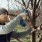 Akumulatorske makaze za baštu Pro Pruner Professional - 10