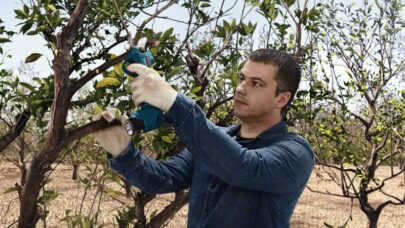 Akumulatorske makaze za baštu Pro Pruner Professional - 6