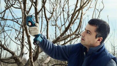 Akumulatorske makaze za baštu Pro Pruner Professional - 7