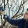 Akumulatorske makaze za baštu Pro Pruner Professional - 7