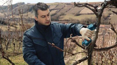 Akumulatorske makaze za baštu Pro Pruner Professional - 3