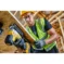 DeWALT aku ubodna testera 18V XR Solo DCS335N-XJ - 3