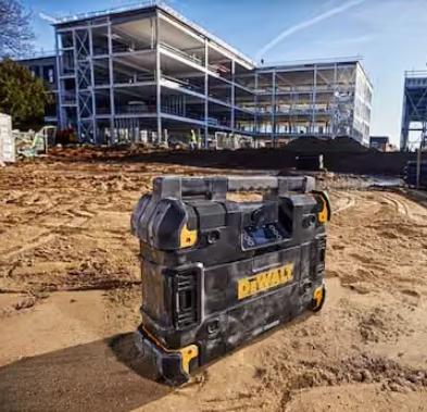 DeWALT DWST1-81078 radio sa punjačem TSTAK - 3